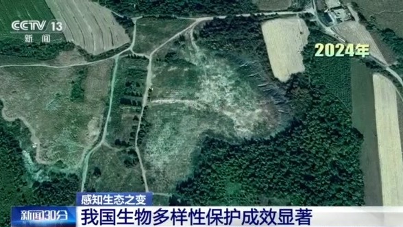 感受生态变化|从67,000到148,000类，目睹了中国对生