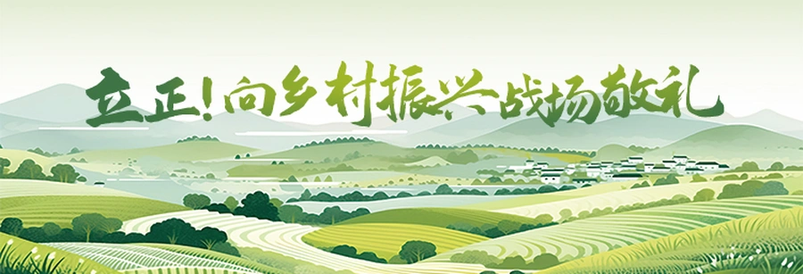 专题｜立正！向乡村振兴战场敬礼！