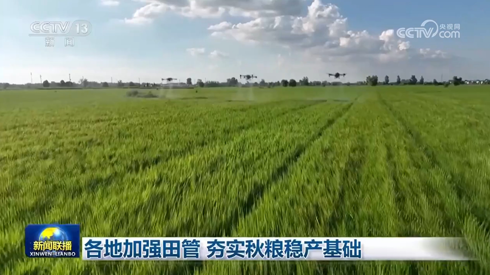所有当地人都加强了现场管理，并结合了