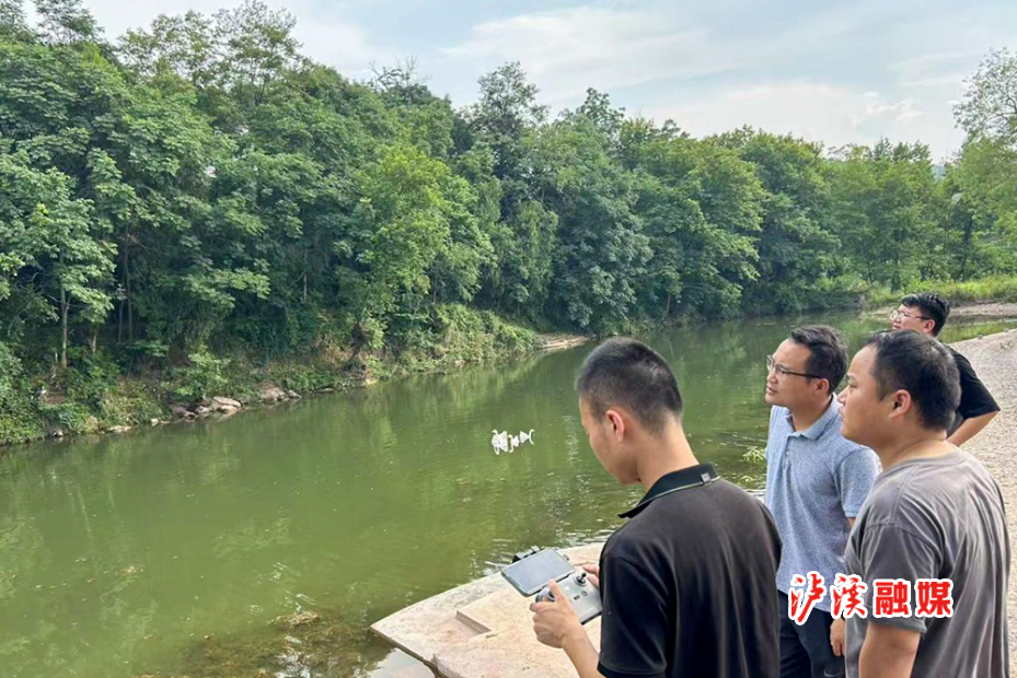 达；岚.jpg