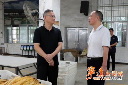 毛政調研烤煙生產工作_副本500.jpg