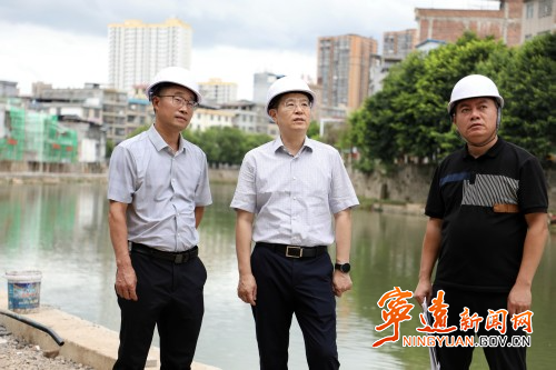 胡勇剛調研歷史文化街區項目_副本500.jpg