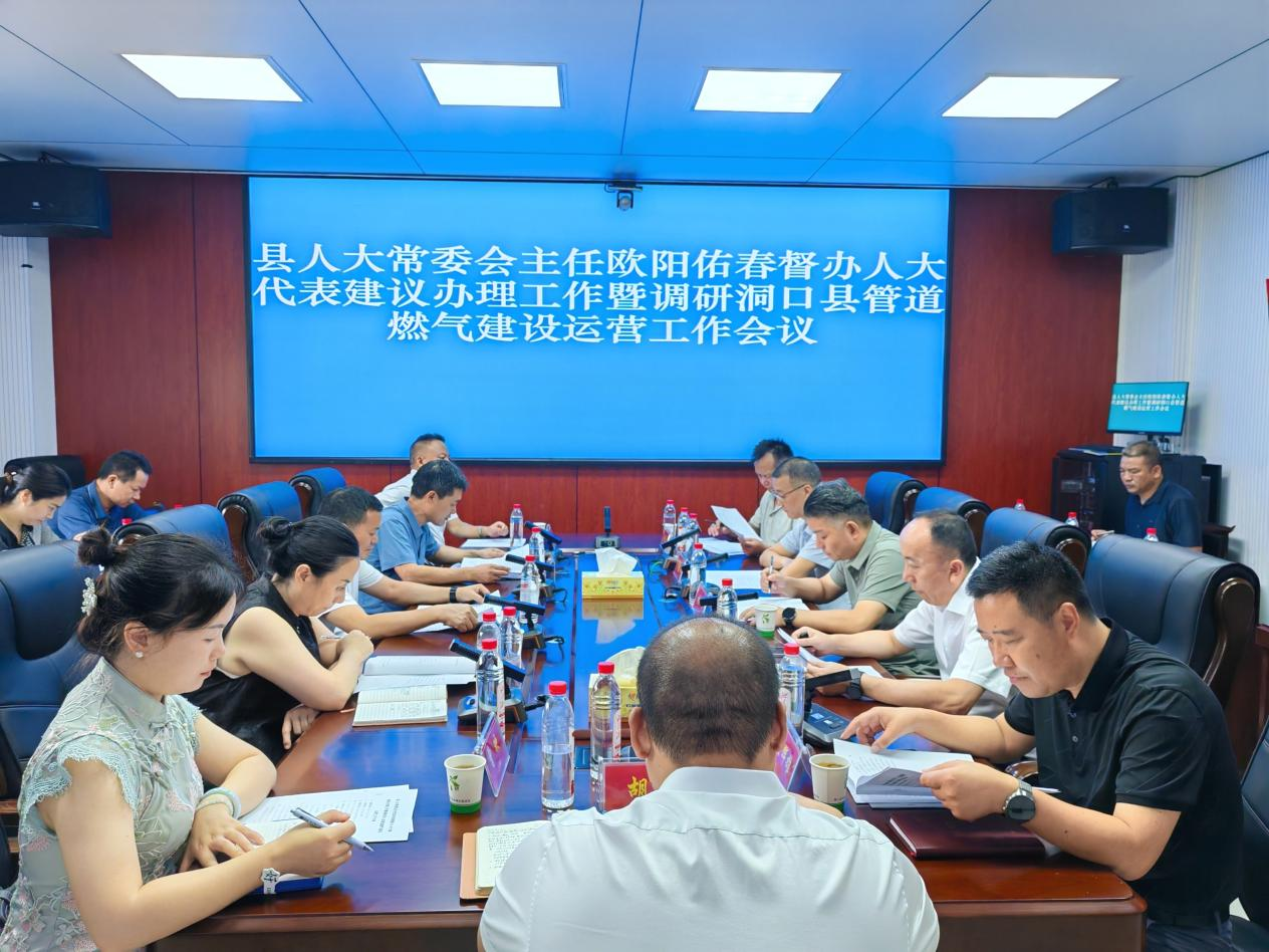 欧阳佑春督办人大代表建议办理工作暨调研洞口县管道燃气建设运营工作.png