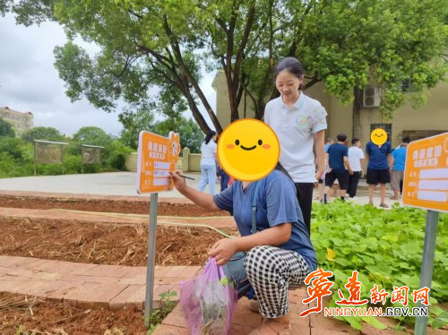 宁远舜陵街道：农辽康心 疗愈身心_副本500.jpg