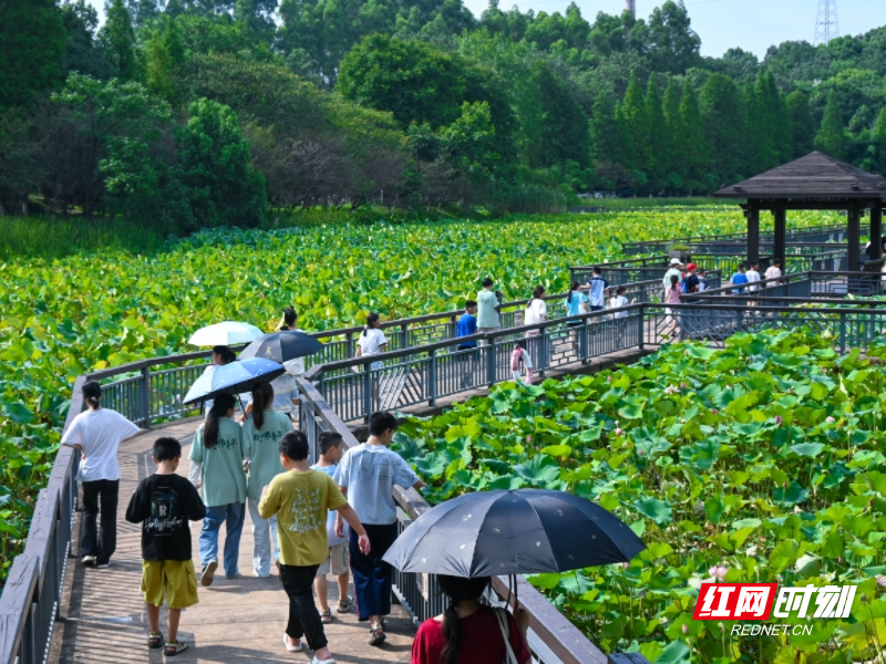 多彩研学！衡师“行走课堂”助乡村少年志立3.jpg