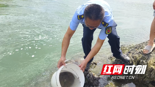 video_20250821_145205.mp4_snapshot_00.11.499.jpg video_20250821_145205.mp4_snapshot_00.11.499.jpg