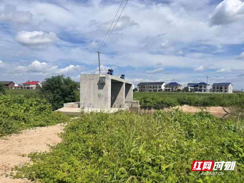 新市镇：小民生，见证代表履职担当大作为.jpg