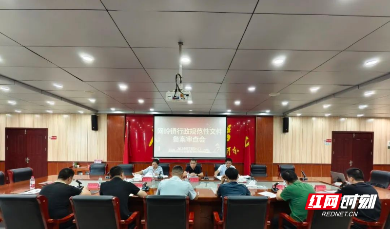 攸县网岭镇：给规范性文件“全面体检”，让法治阳光暖透民心.jpg