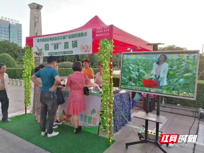 新市镇：小民生，见证代表履职担当大作为1.jpg