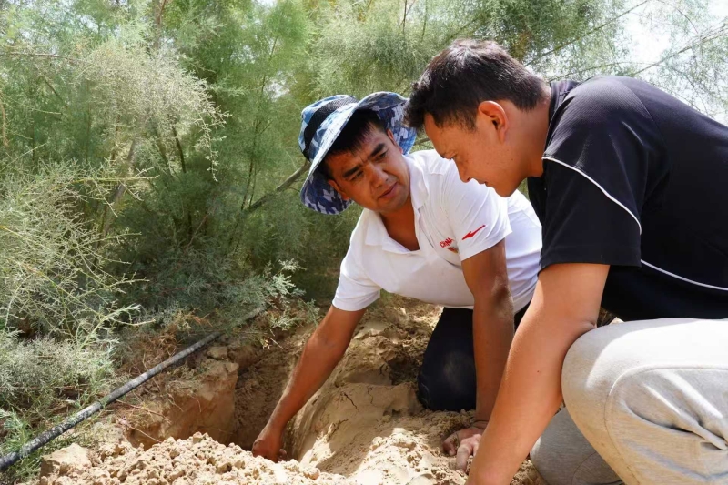 练习“两座山”的概念，并发展一个美丽的新疆