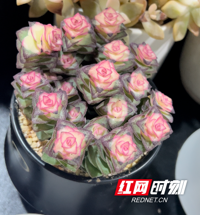 钱串.png