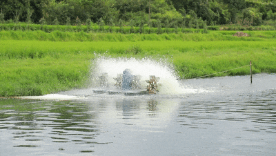 RU4A3045[00_00_01--00_00_07].gif