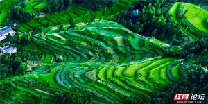 【每日一图@湖南】雪峰深处的秘境