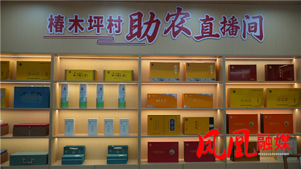 凤凰：电力赋能乡村振兴椿木坪（为准）[00_05_34][20250825-114657].jpg