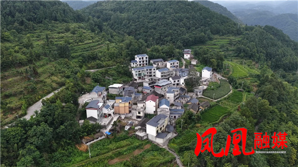凤凰：电力赋能乡村振兴椿木坪（为准）[00_16_36][20250825-115037].jpg