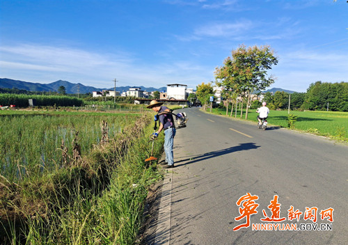 宁远水市镇：开展道路两旁除草行动_副本500.jpg