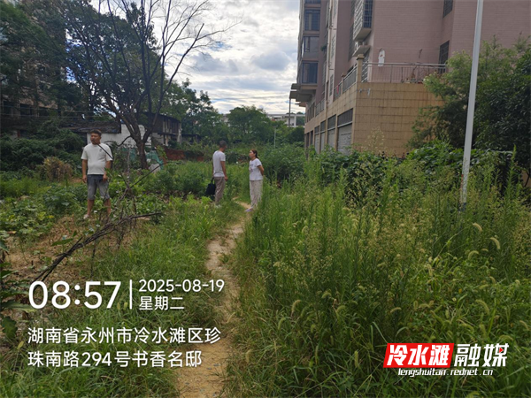 图片吧1.png