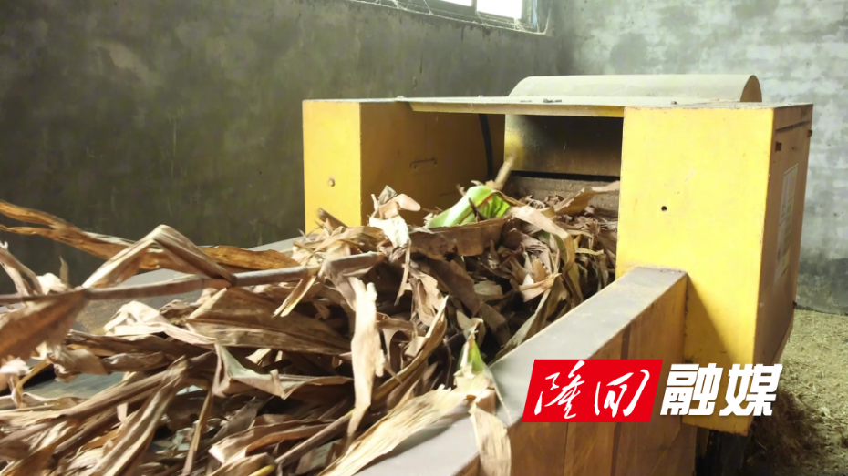 隆回：秸秆“变废为肥”  为农业发展“增绿提效提质” - frame at 4m0s.jpg