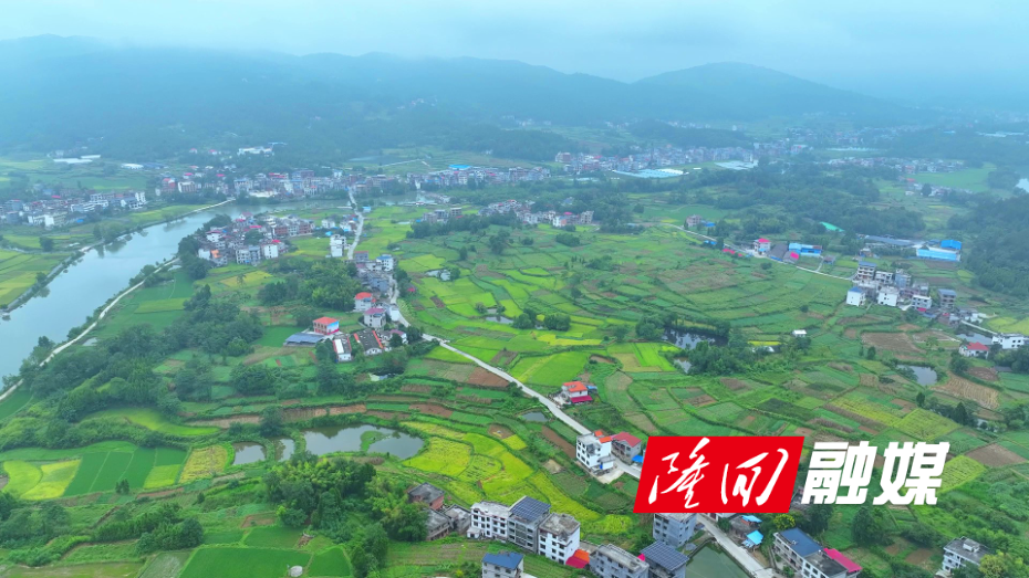隆回：秸秆“变废为肥”  为农业发展“增绿提效提质” - frame at 0m0s.jpg