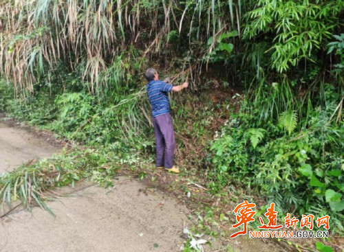宁远清水桥镇：清障除草护平安_副本500.jpg