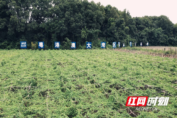 微信图片_2025-08-25_112325_622.png