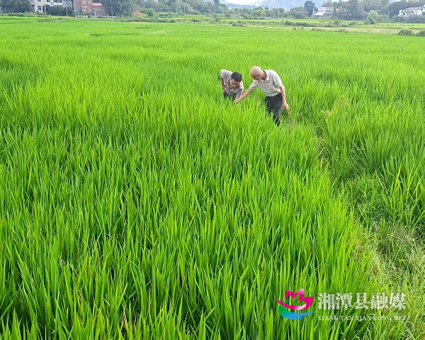 微信图片_20250827161903_2_405.jpg