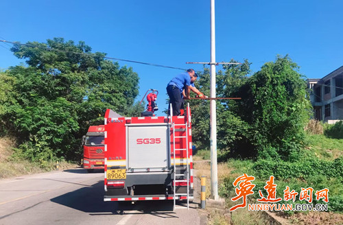 宁远冷水镇：开展路灯“净杆”专项整治行动_副本500.jpg