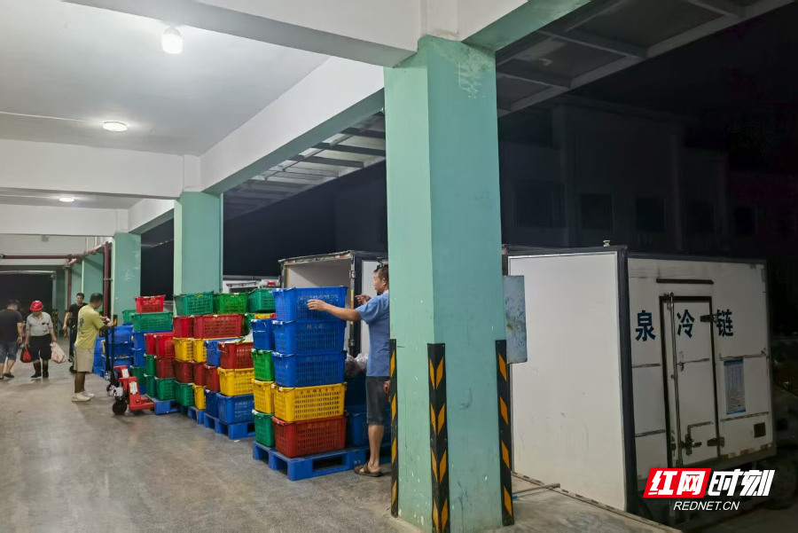 永兴县金泉农产品冷链物流有限公司的运输车正整齐列队，等待着工人们将蔬菜从冷库拉出装车，送往粤港澳大湾区。.jpg