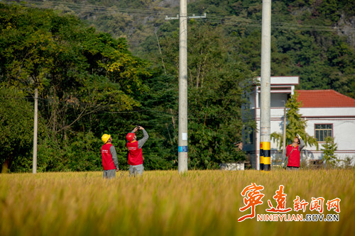 宁远电力：精准护航秋收季_副本500.jpg