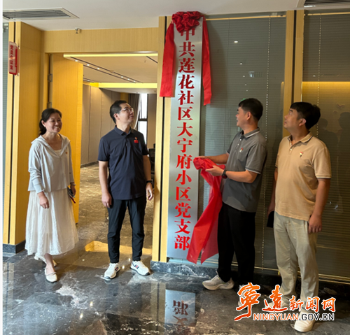 宁远县舜陵街道：大宁府小区党支部揭牌_副本500.png