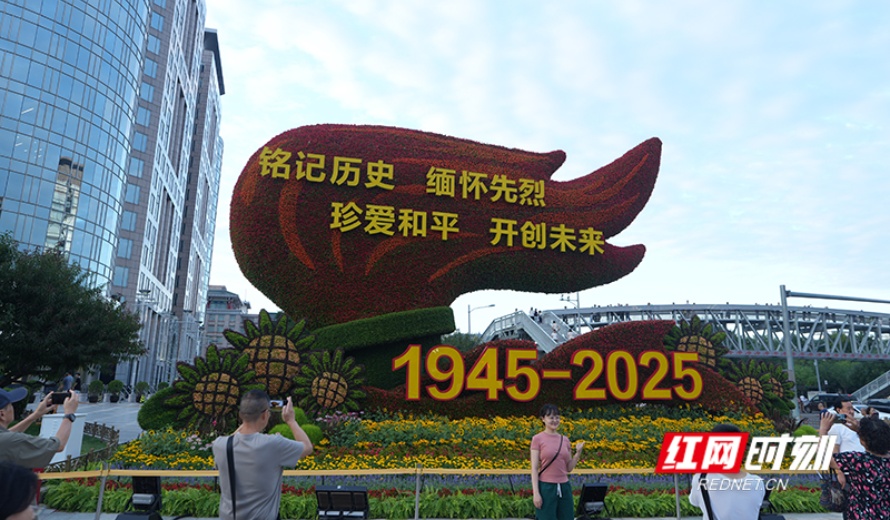 打卡新地标！纪念抗战胜利80周年主题花坛亮相长安街