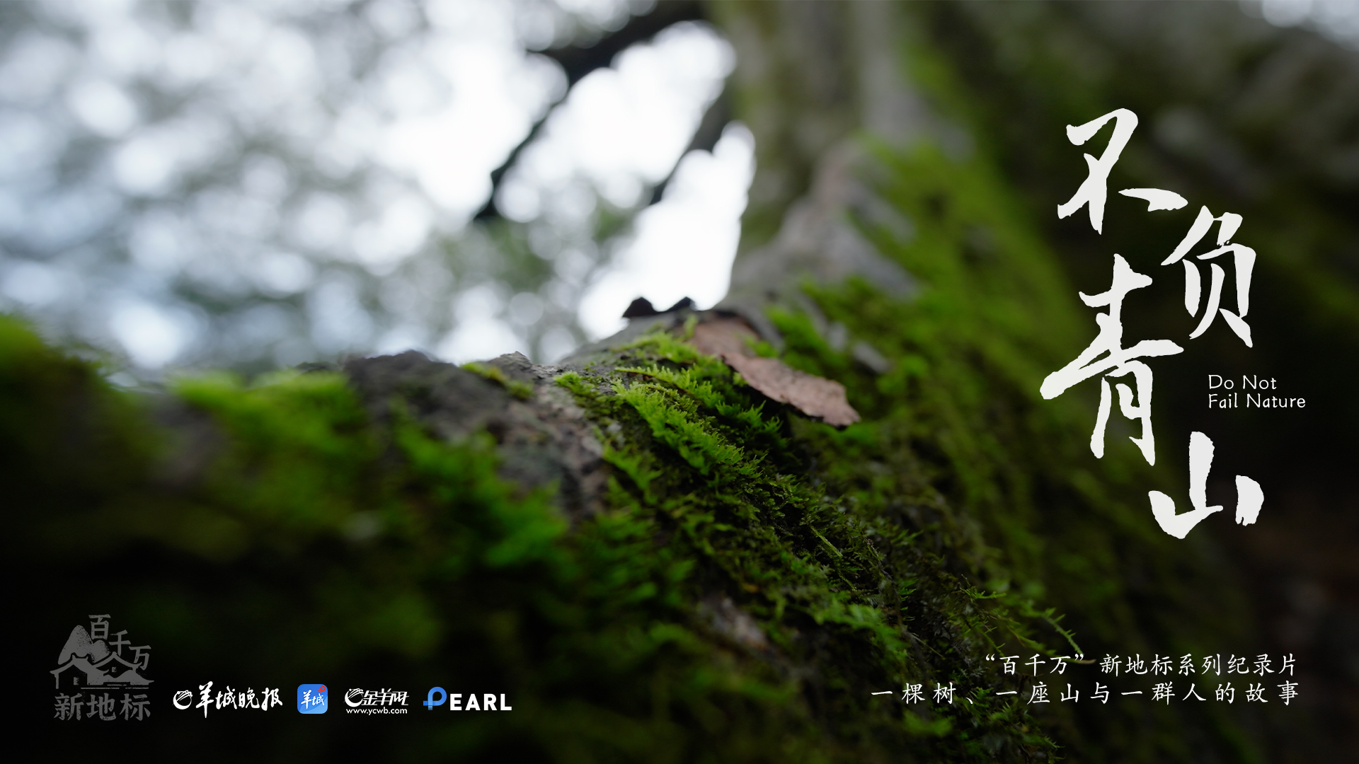 一系列的“”道路（和成千上万的“新地标”）