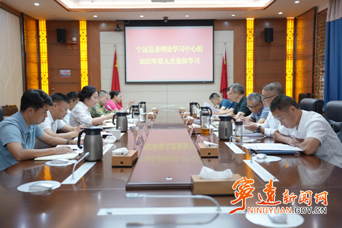 寧遠縣委理論學習中心組舉行2025年第九次集體學習_副本500.jpg
