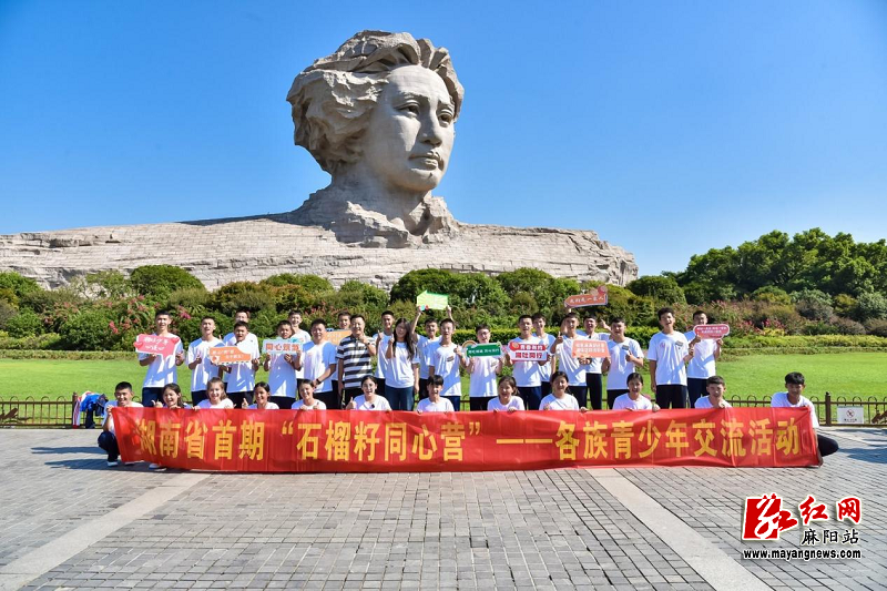 图片1.png