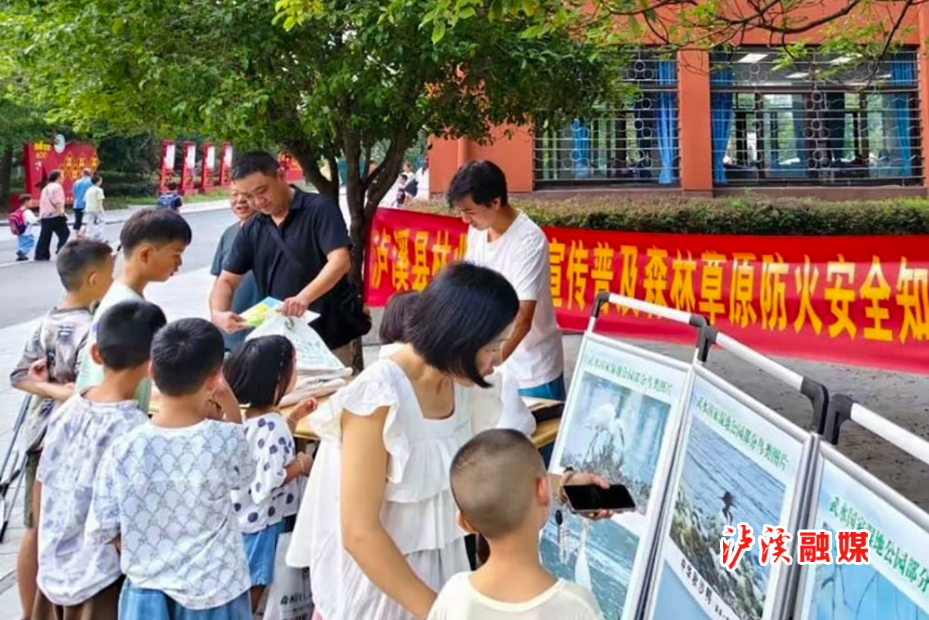 林业局png.jpg3.jpg4.jpg