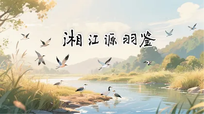 专题丨湘江源羽鉴