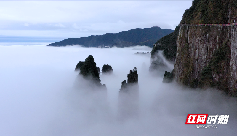 图片1(8).png