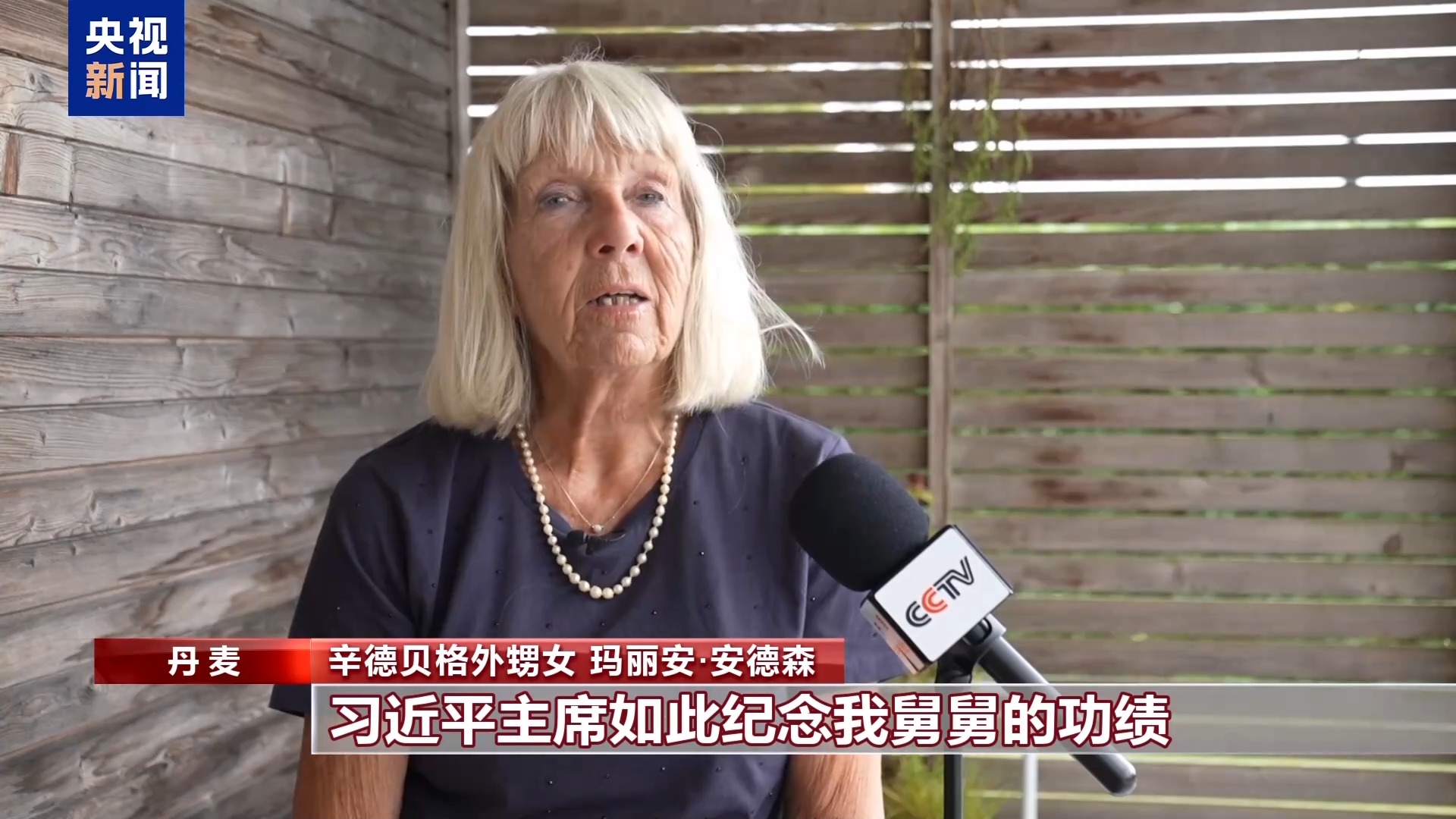 Shinderberg的家人，是中国战斗战争的全球朋友：世