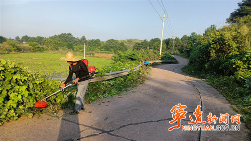 宁远保安镇：开展道路沿线杂草清理行动_副本500.jpg