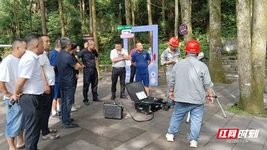 激光处理枯枝 (4).jpg