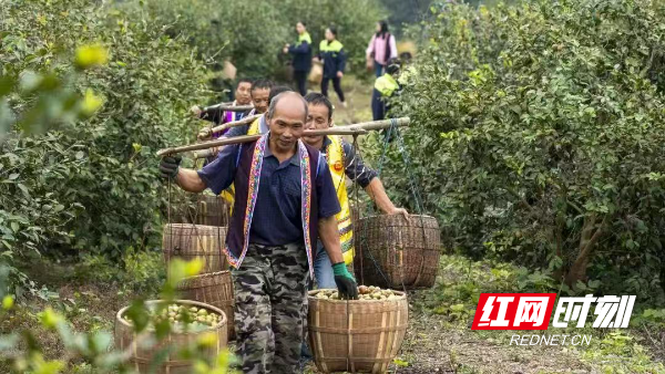 微信图片_20250904140952_297_72.jpg