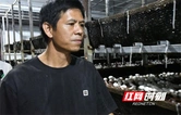 小蘑菇撑起大产业 黄民山与他的“菌菇梦”