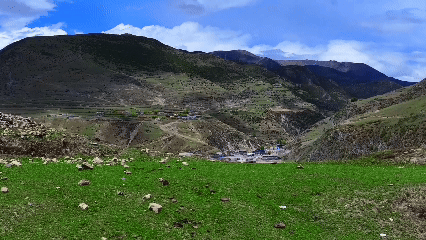 苏县：红血发展的密码