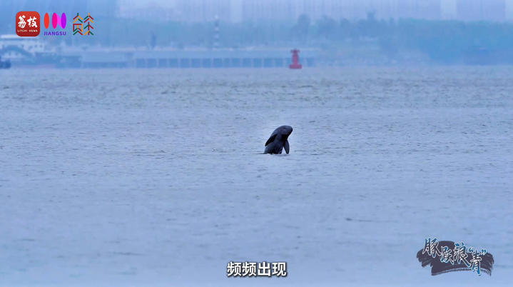 “县”始于山上的绿色画