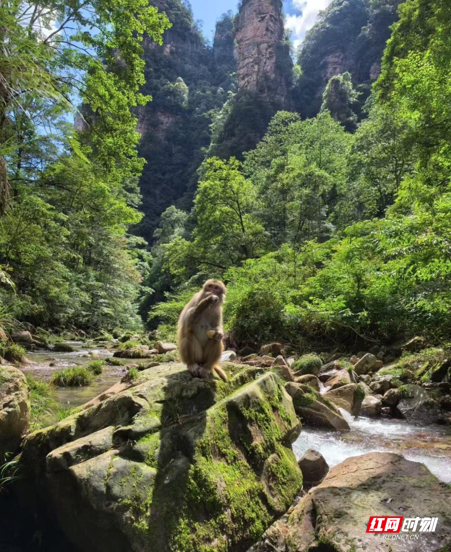 9.9图片2.png 9.9图片2.png