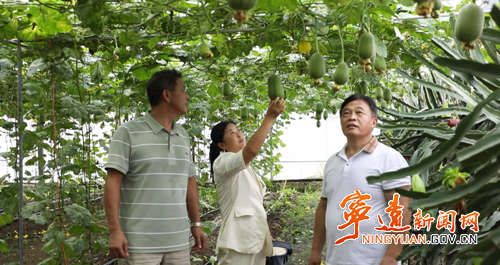 宁远县九疑瑶族乡：走出产业融合增收路3_副本500.png