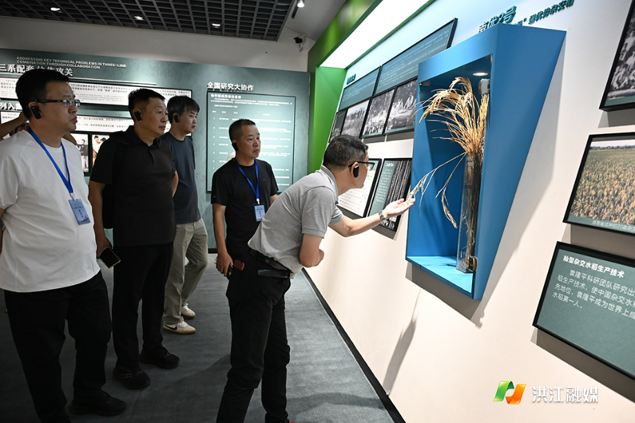 微信图片_20250910185152_388_317.jpg