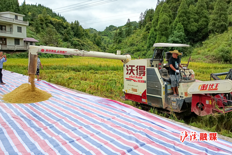白羊溪水稻收割.jpg2.jpg