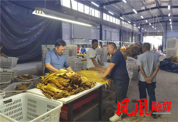 图片4.jpg