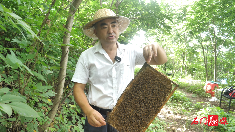 夹山镇:小蜜蜂酿出乡村振兴“甜蜜事业”3.png 夹山镇:小蜜蜂酿出乡村振兴“甜蜜事业”3.png
